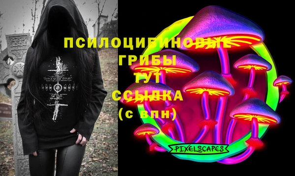 винт Алзамай