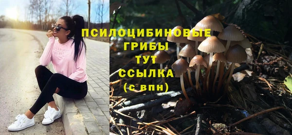 твердый Алексеевка